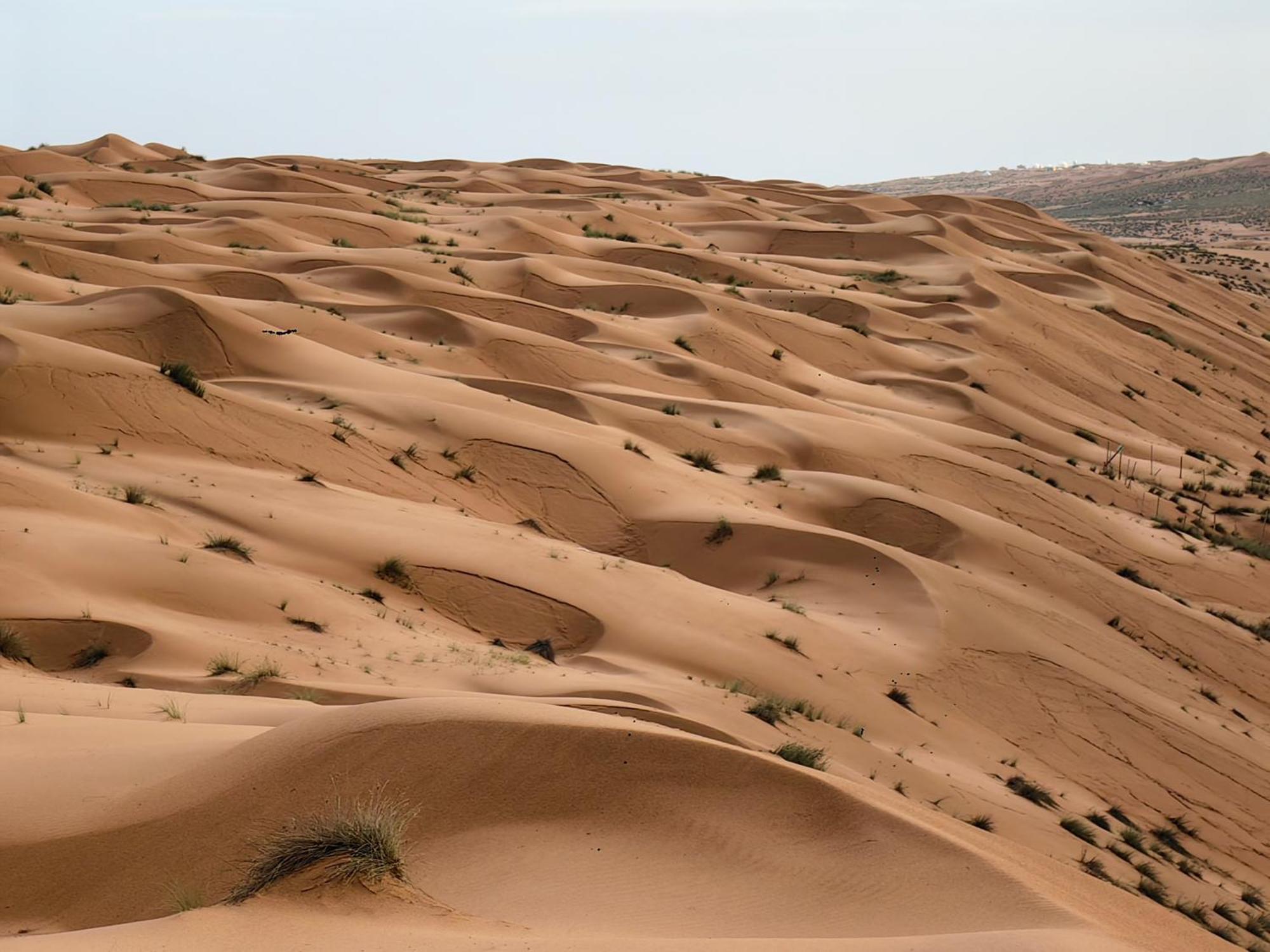Desert Rose Camp Bidiya Exterior photo